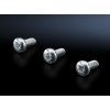 2489000, RITTAL SZ Винты с сферич. головкой M5x12 500шт