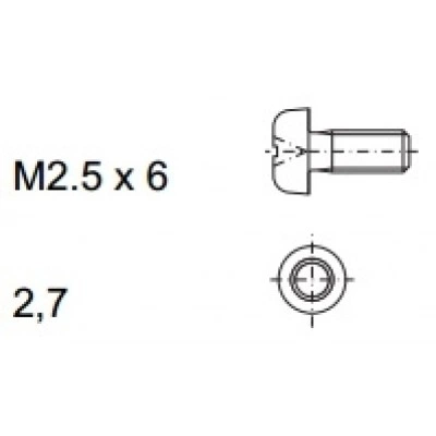 3684019, RITTAL Винт M2.5x10 + шайба, 100 шт. 3684019, RITTAL Винт M2.5x10 + шайба, 100 шт.