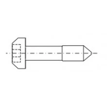 3688709, RITTAL Винт M2.5x11 невып. гекс. шлиц, 100 шт.