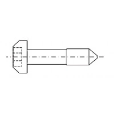 3688709, RITTAL Винт M2.5x11 невып. гекс. шлиц, 100 шт.
